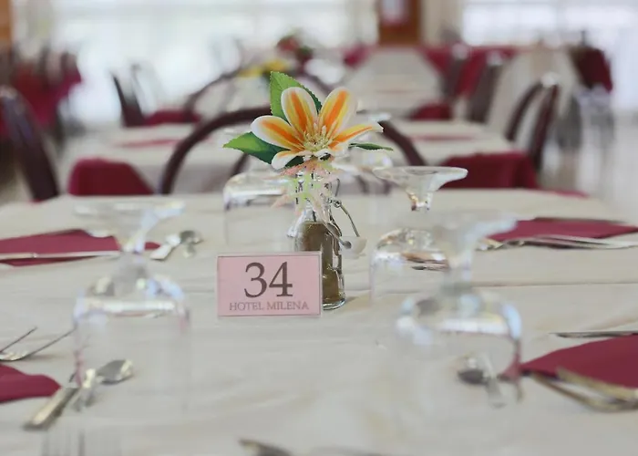Milena Hotel