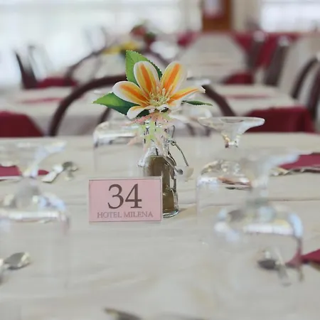 Milena Hotel