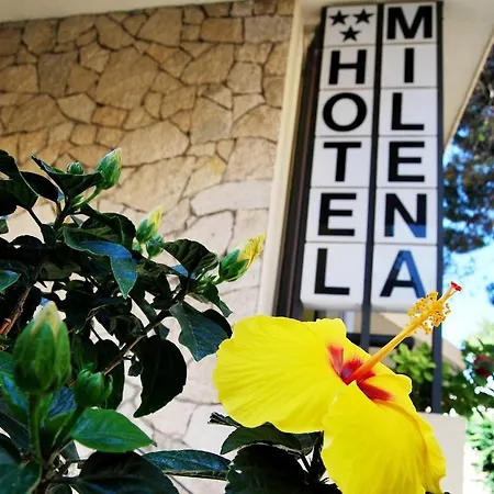 Hotel Milena 3*